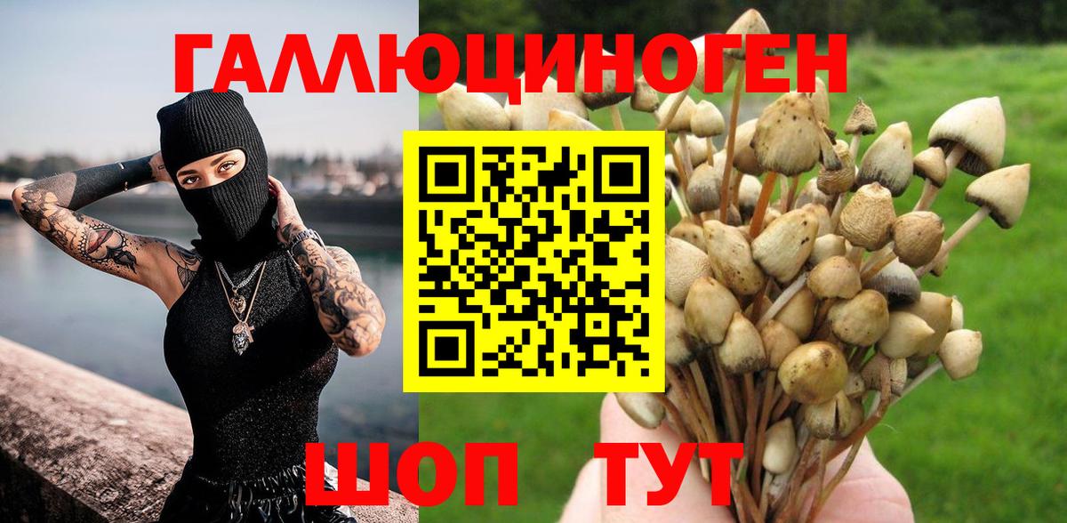 Псилоцибиновые грибы ЛСД Отрадное