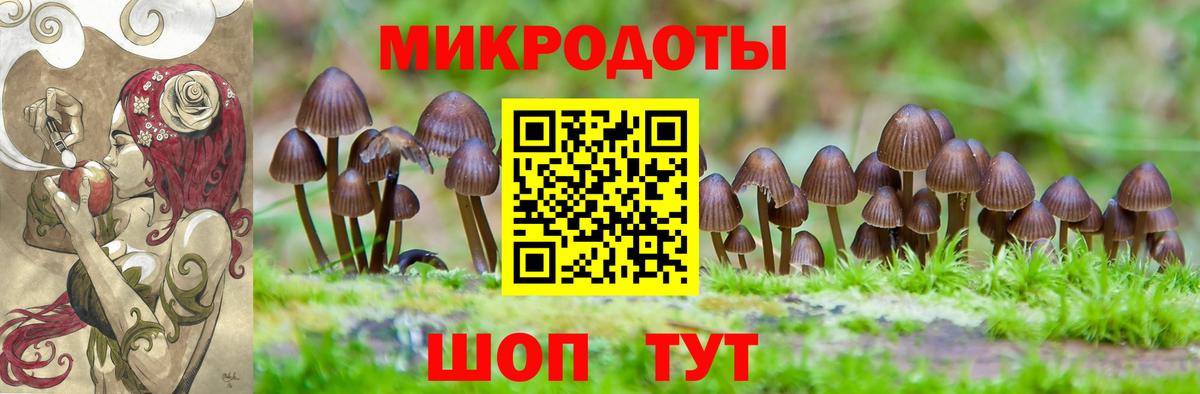 Отрадное  Галлюциногенные грибы ЛСД  Псилоцибиновые грибы мицелий  Вход с VPN 