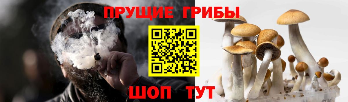 МАРИХУАНА  Вход с VPN  Отрадное  Кокаин  МЕТАМФЕТАМИН  ГАШ  МЕФ  