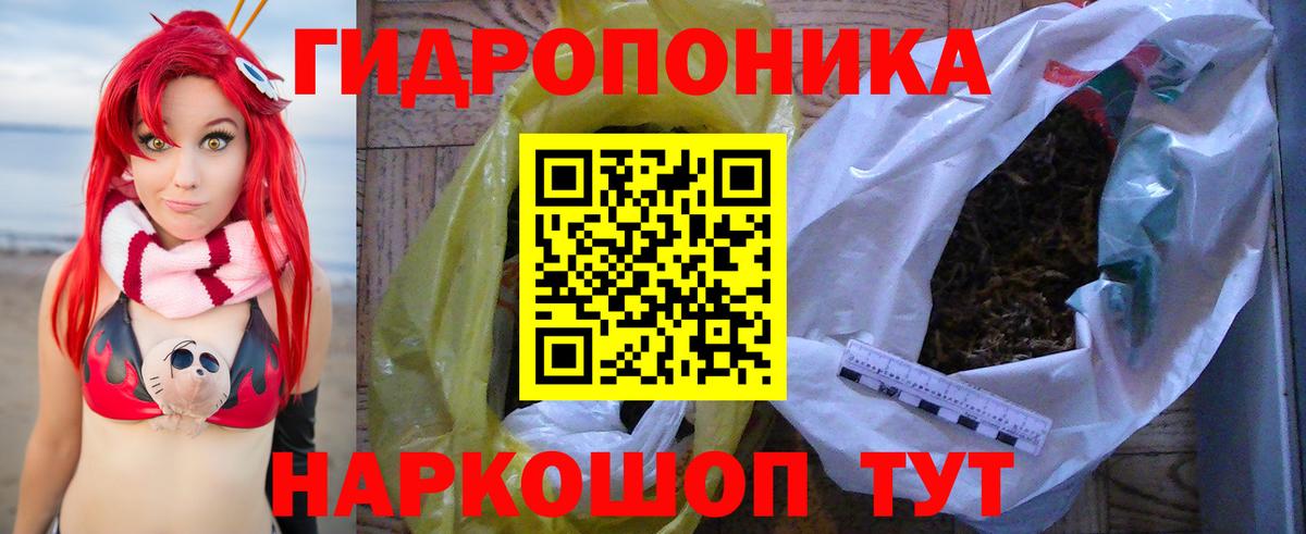 Бошки Шишки планчик  Шишки марихуана гибрид  Бошки Шишки THC 21%  Отрадное  Бошки марихуана план  Вход с VPN 